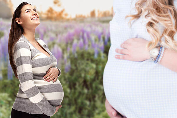 Become a Surrogate in Raleigh NC, North Carolina Surrogates, North Carolina Surrogate Mothers, North Carolina Surrogacy, North Carolina Surrogate Information, North Carolina Surrogacy Information