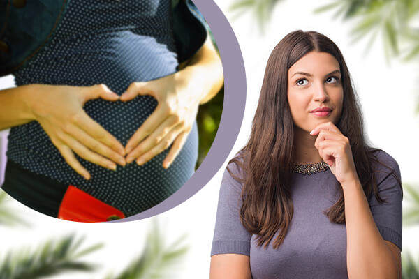 How Much Do Surrogates Make in Raleigh NC, Surrogate Compensation Raleigh NC, Surrogate Pay Raleigh NC, Surrogate Mother Pay Raleigh NC, Surrogate Mother Compensation Raleigh NC