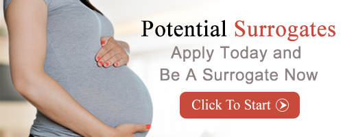 Become A Surrogate Today | Apply Now! Becoming a Surrogate Mother in Raleigh NC, Surrogate Mother Raleigh NC, Surrogate Raleigh NC, Surrogates Raleigh NC, Becoming a Surrogate Mother, Surrogate Mother, Surrogate, Surrogates