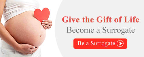 Become A Surrogate Today | Apply Now! Become a Surrogate in Raleigh NC, North Carolina Surrogates, North Carolina Surrogate Mothers, North Carolina Surrogacy, North Carolina Surrogate Information, North Carolina Surrogacy Information